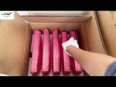 エルテック 矯正モジュール フラットパック2 48/3000HE 48V 3000W 高効率 (パート番号241119.105)